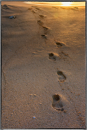 Footprints at the end of day