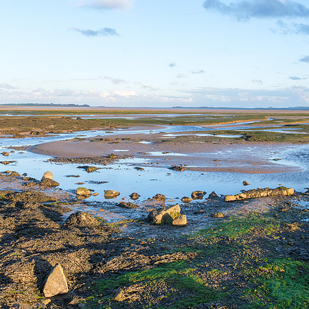 13th Feb. Sunny views, Lindisfarne