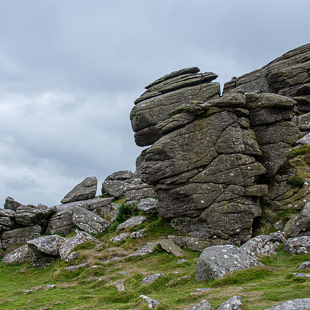 14th Feb. On Dartmoor