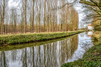 Poplars, Anglesey Abbey