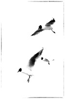 Hovering