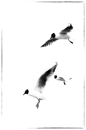 Hovering
