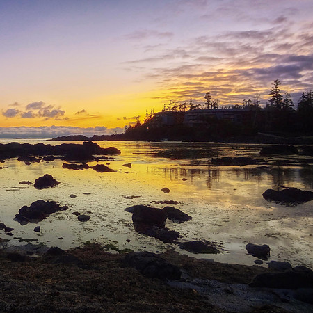 9th Feb. Evening (Ucluelet, Vancouver Island)