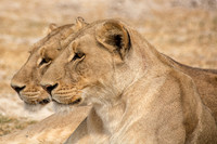 Botswana