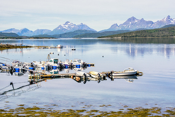 Waiting boats