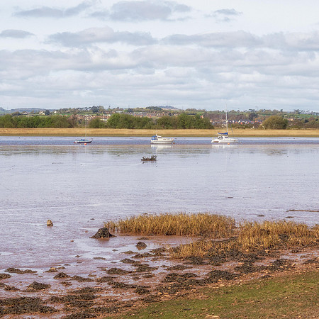 15th Feb. Goat Walk, Topsham