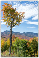View, Kancamagus HIghway