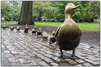 Bronze ducks by Nancy Schön, Boston Public Garden
