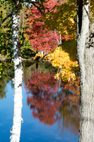 Reflections