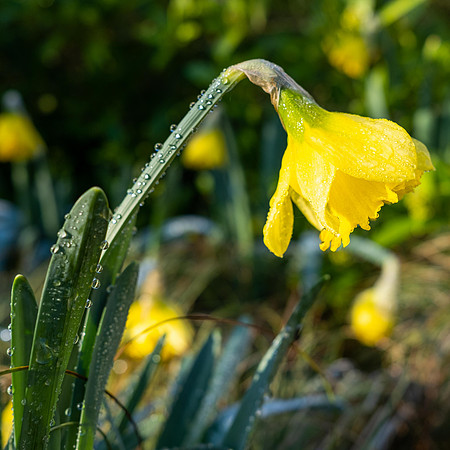 16th Feb. Signs of spring