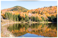 Northeastern USA