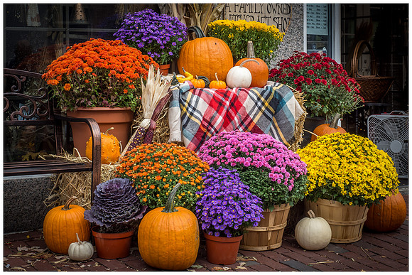 Fall display, Salem