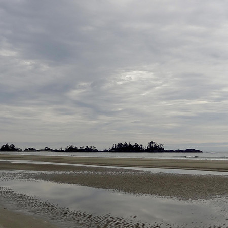 1st Jan: On a gentle stroll (Vancouver Island)