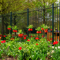 15th Apr. Red and Green