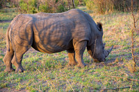 South Africa