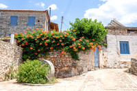 Neochori